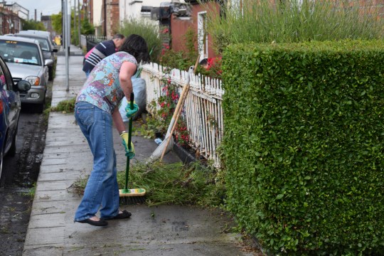 Greening the inner city