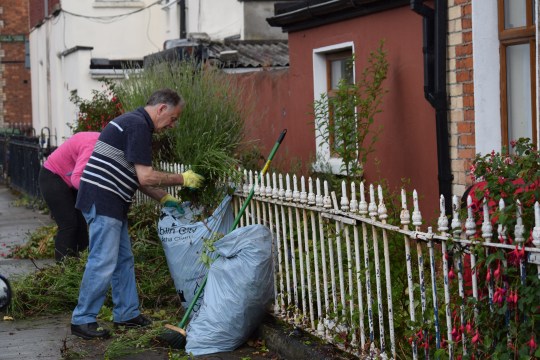Greening the inner city