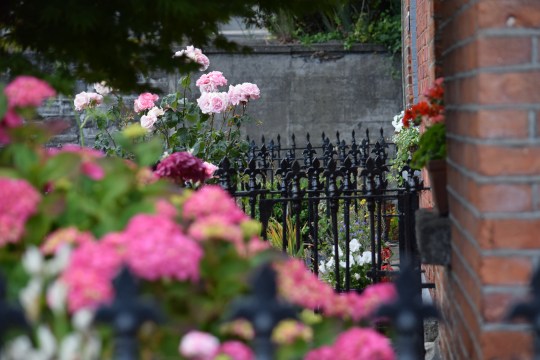 Greening the inner city