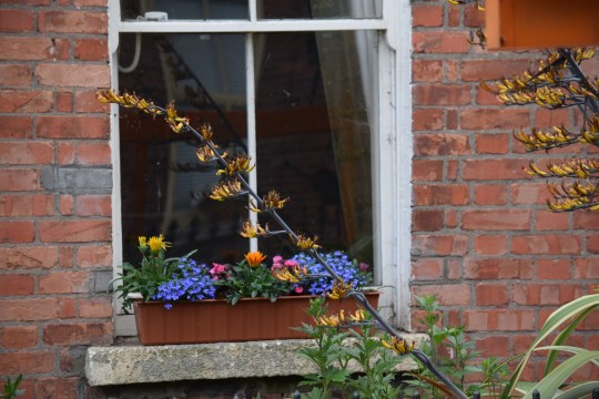 Greening the inner city