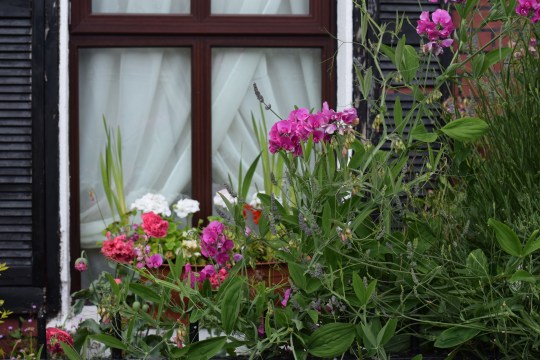 Greening the inner city