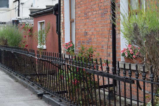 Greening the inner city