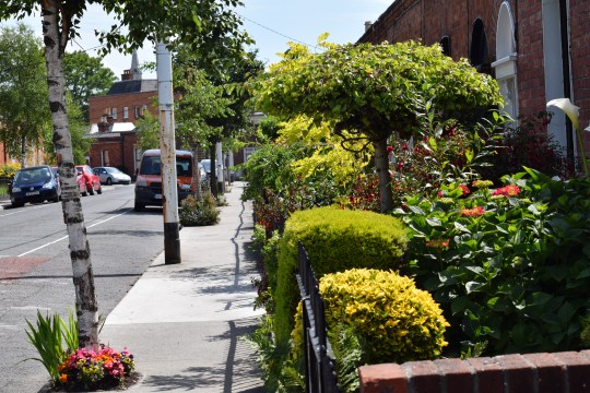 Greening the inner city