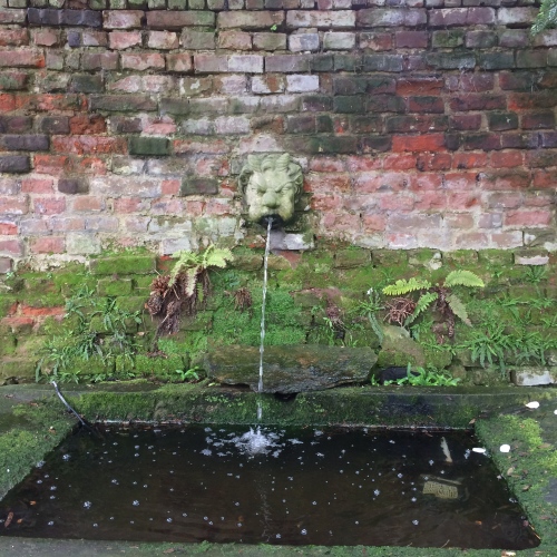 An ancient fountain secreted in a corner.