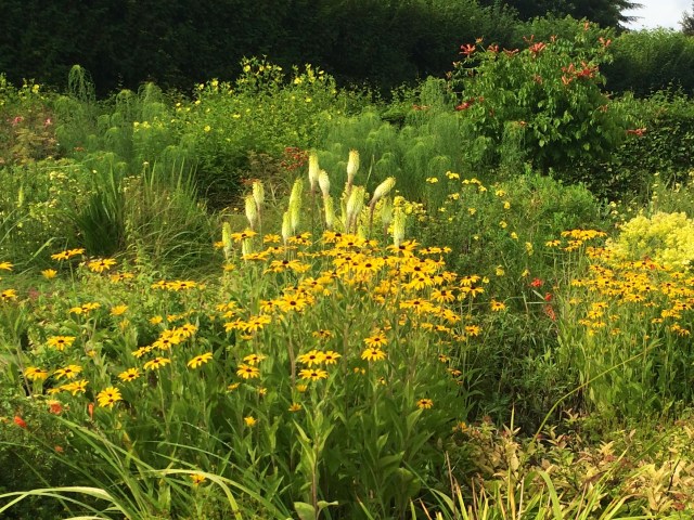 Monochrome scheme in the Sun garden at Villandry.