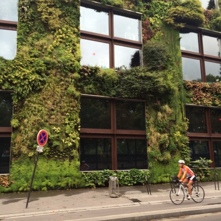 Patrick Blanc's green wall.